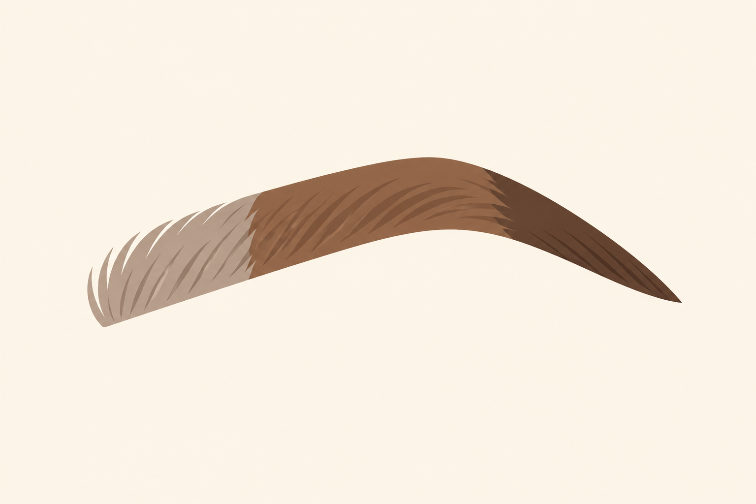 Gradient tint across an eyebrow